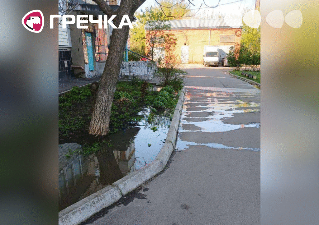 По вулиці Черчилля два місяці течуть нечистоти