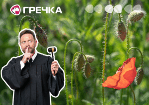 На Кіровоградщині пенсіонер на городі вирощував 606 кущів маку