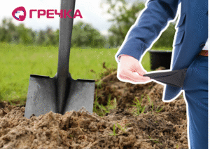 Міськрада шукає кошти для озеленення селище Нове