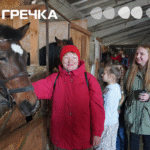 захід гіпос для родин військових у КРопивницькому