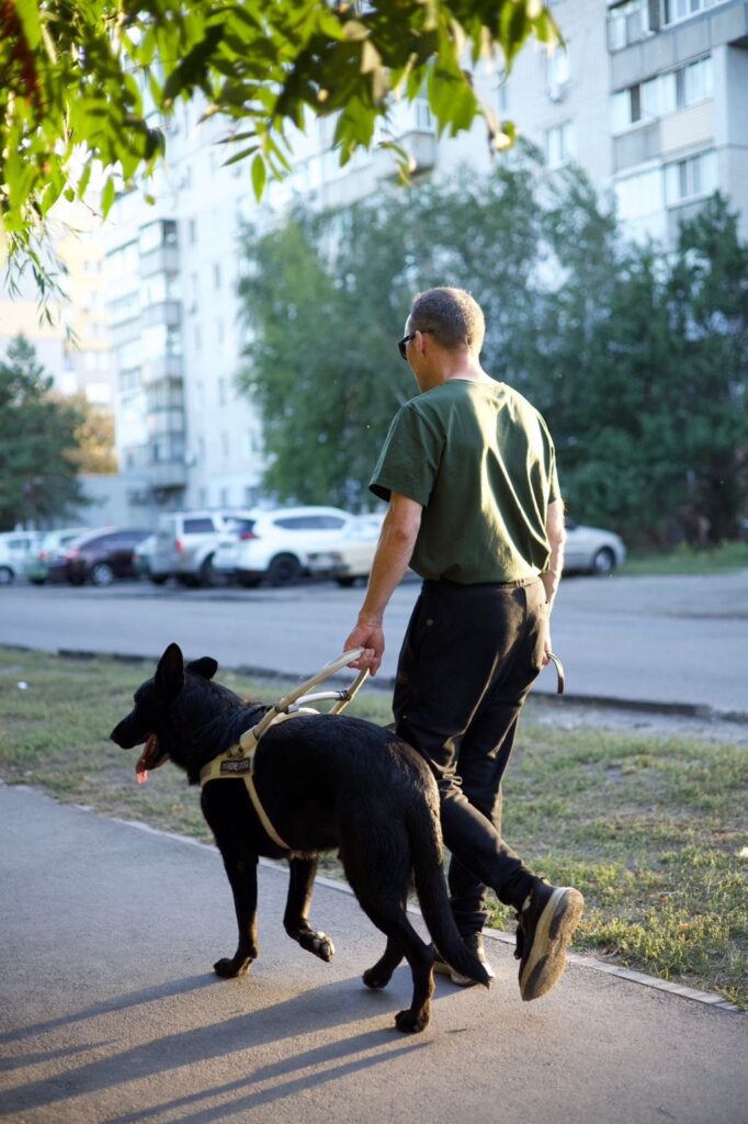 собака поводир веде незрячого захисника
