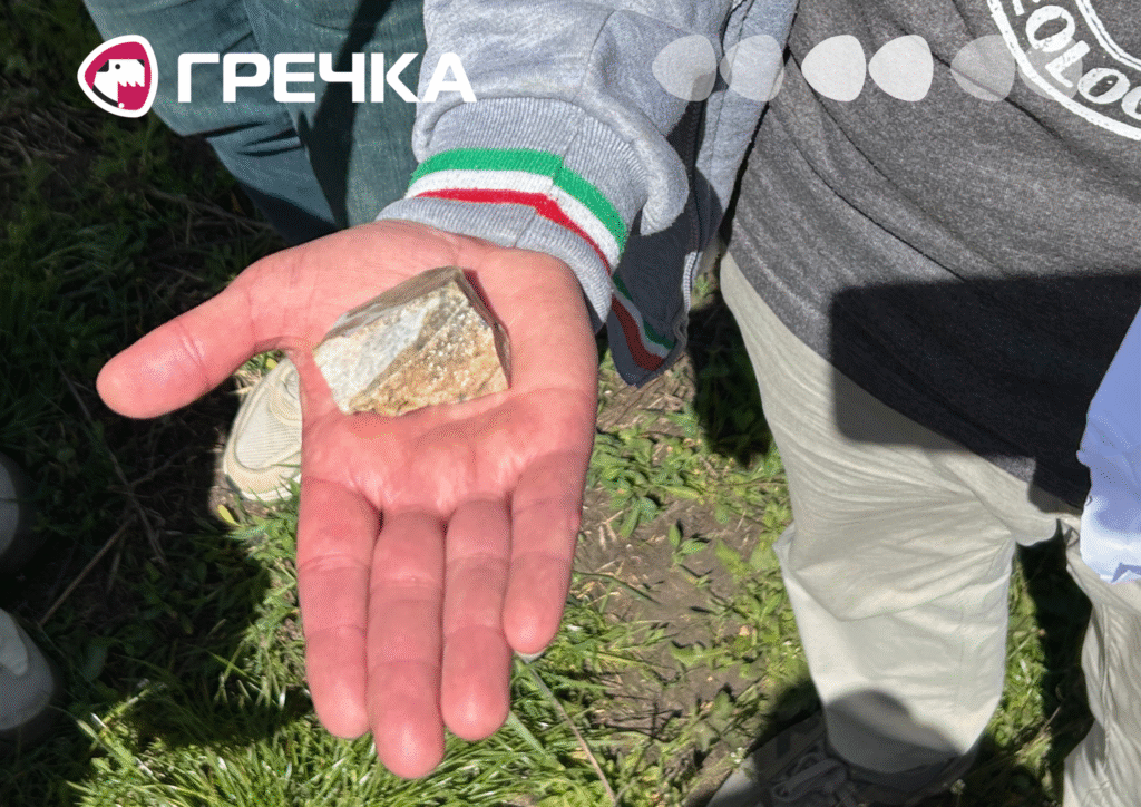 Літієва руда з Полохівського родовища