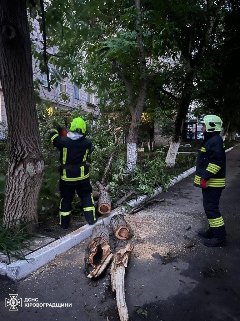 Наслідки негоди