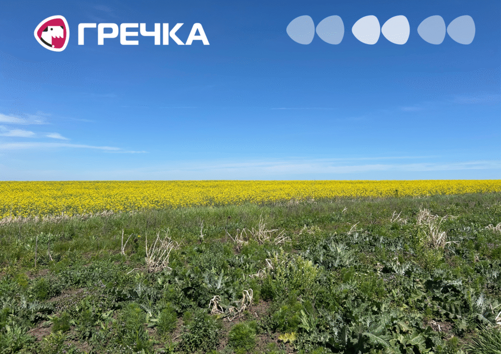 Шахтний видобуток літієвої руди дозволить зберегти сільськогосподарські землі