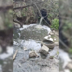 У Кропивницькому стічні води забруднюють річку Біянка