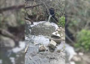 У Кропивницькому стічні води забруднюють річку Біянка