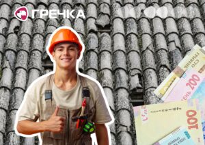 Петрівський ліцей ремонтуватиме покрівлю переплата