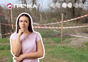 Справа щодо Никанорівського парку