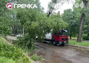 Наслідки негоди