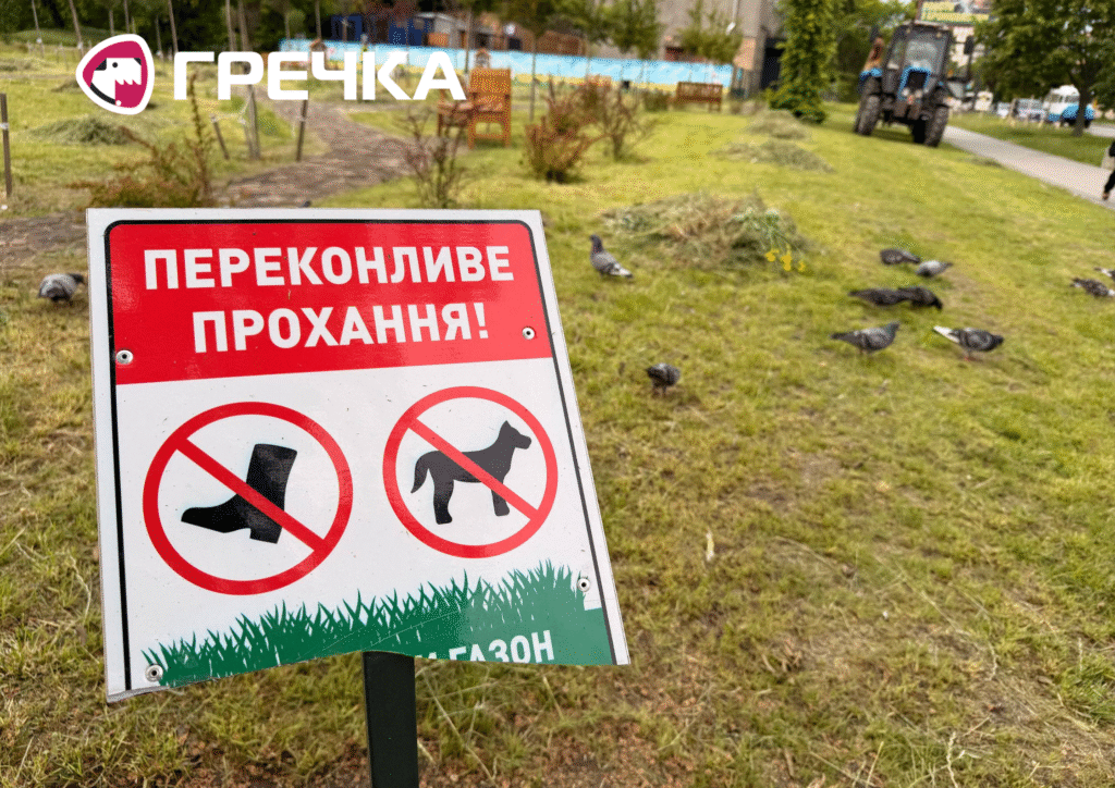 Сквер на Соборній скосили мавританський газон
