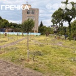 Скосили мавританський газон у сквері на Соборній