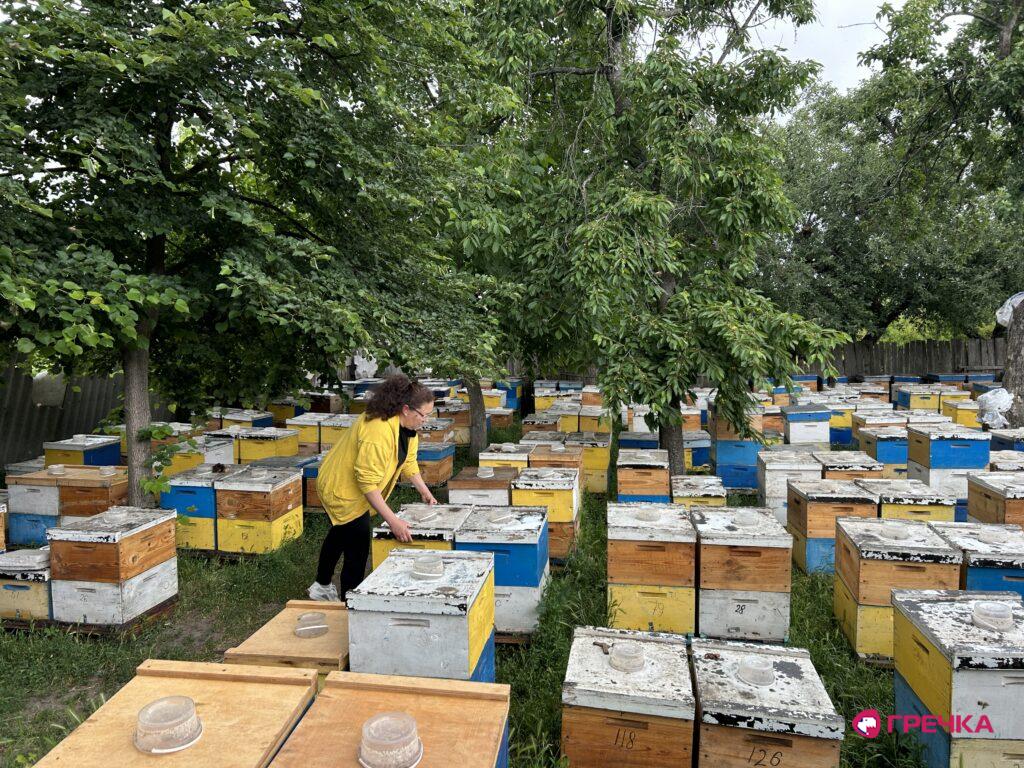 Наталя Черниш пасіка загинули бджоли після обробки поля хімікатами