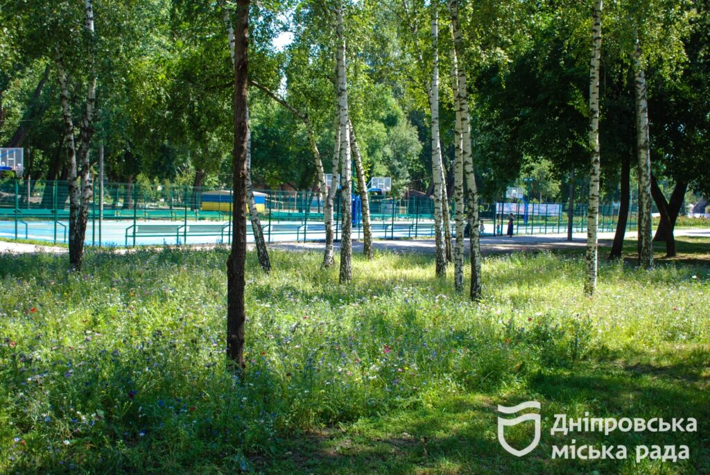 2023 рік мавританський газон Дніпро