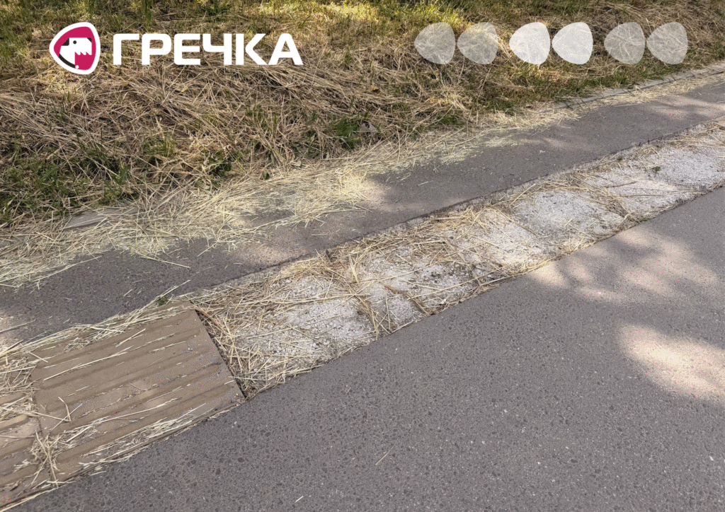 Куди зникла частина тактильної плитки біля обласної лікарні