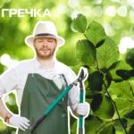 Колективне підприємство «Єлізавета» без конкуренції отримало підряд на утримання скверу Будівельників