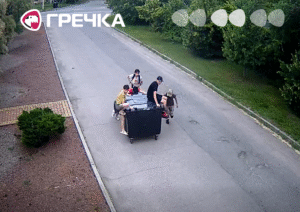 Автомобілі