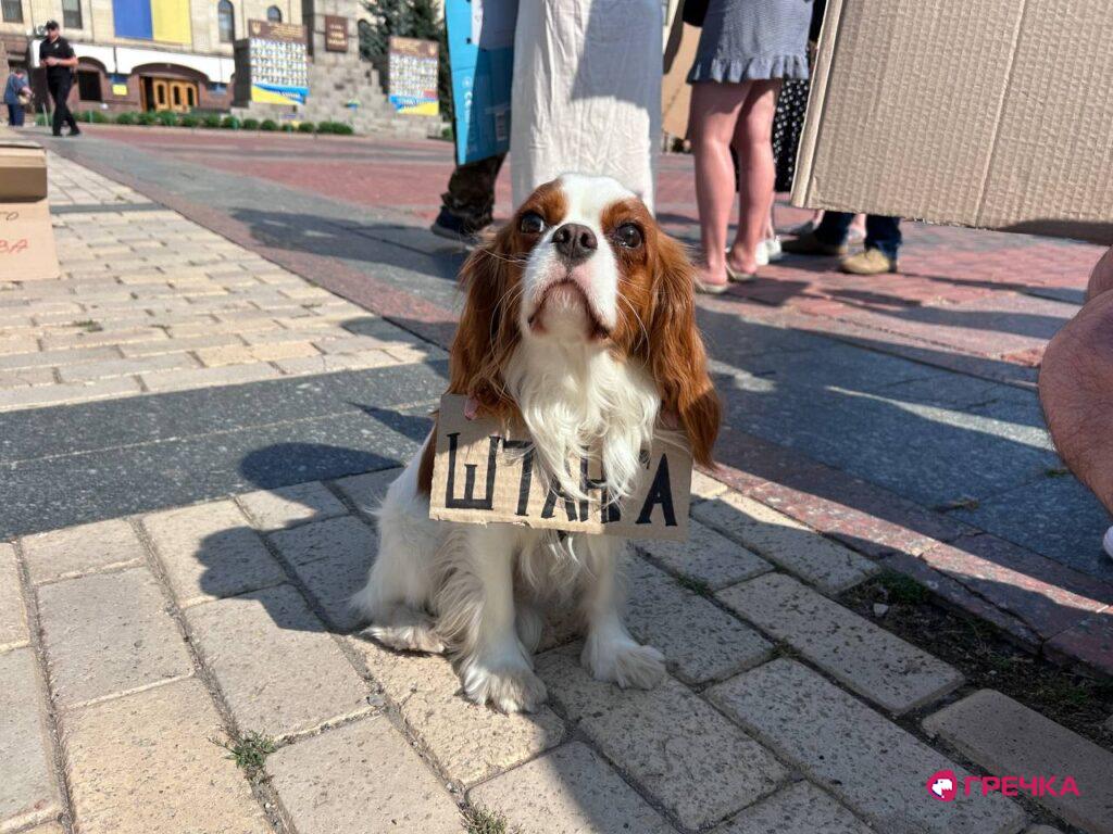 собака на мітингу проти звільнення Федорова