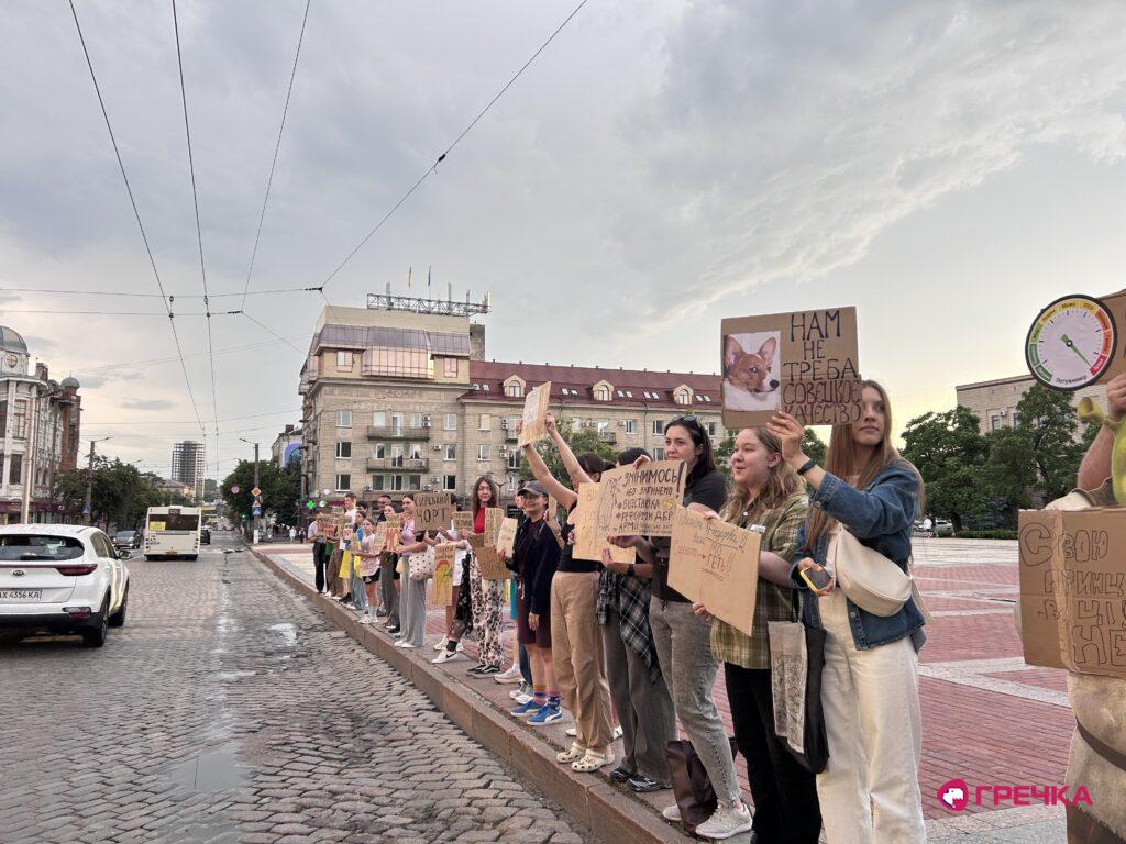 Мітингу на підтримку Федорова у Кропивницькому 3