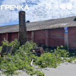 У Кропивницькому на Тарковського спиляли тополю